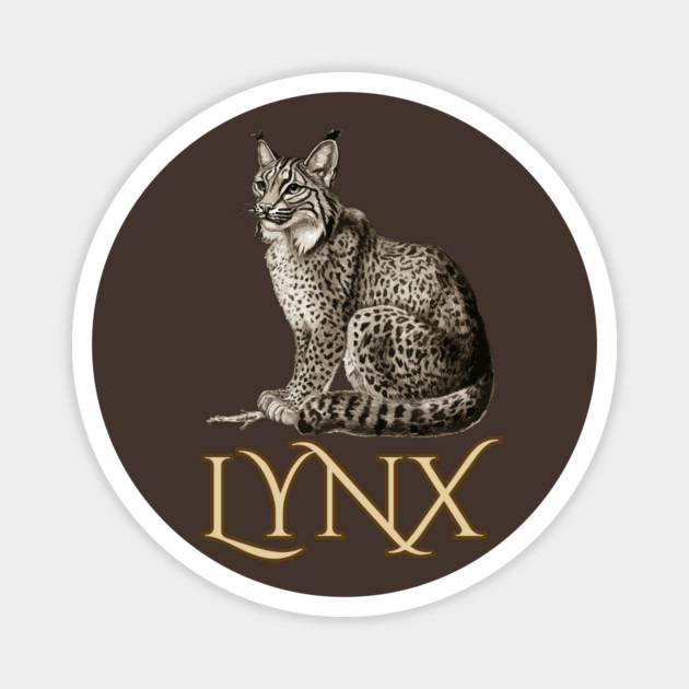 Wild Lynx - 19th Century Zoological Drawing Style Magnet by TuncGK