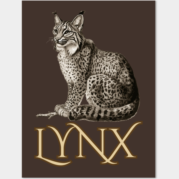 Wild Lynx - 19th Century Zoological Drawing Style Wall Art by TuncGK