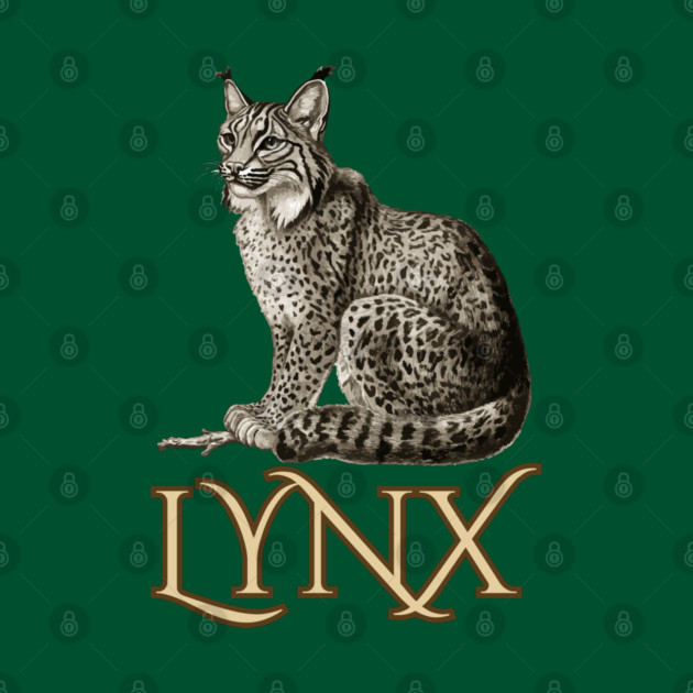 Wild Lynx - 19th Century Zoological Drawing Style by TuncGK