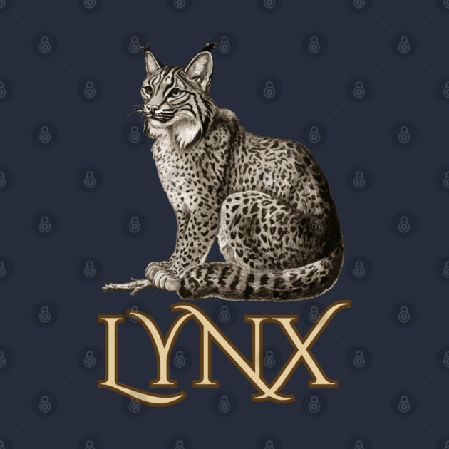 Wild Lynx - 19th Century Zoological Drawing Style by TuncGK