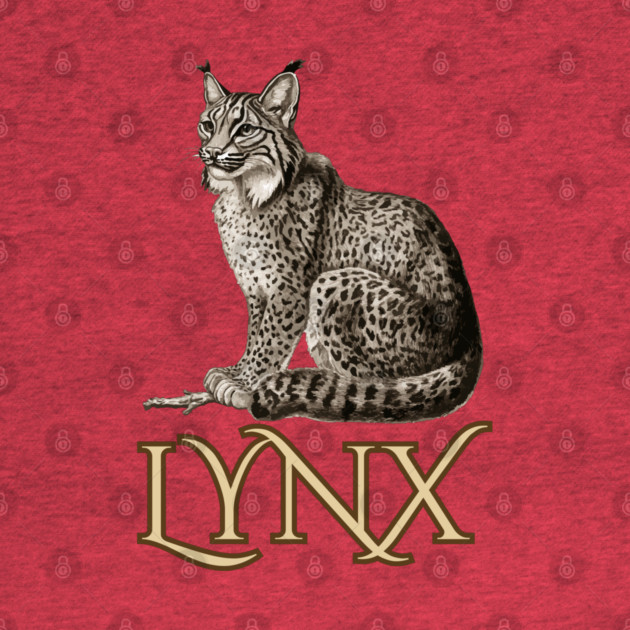 Wild Lynx - 19th Century Zoological Drawing Style by TuncGK