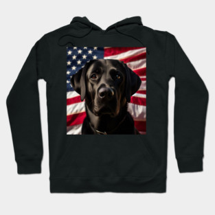 Patriotic Black Lab Dog Hoodie