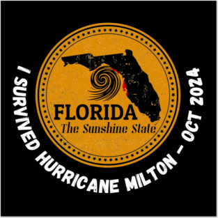 Hurricane milton Posters and Art