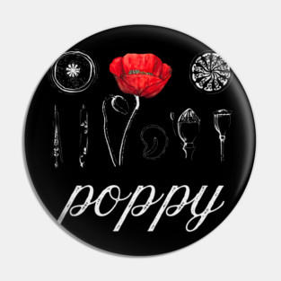 Poppy - Vintage Botanical Drawing - Chalk Art Blueprint Æshetic Pin