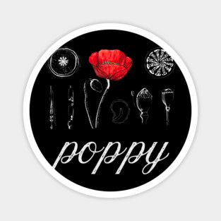 Poppy - Vintage Botanical Drawing - Chalk Art Blueprint Æshetic Magnet