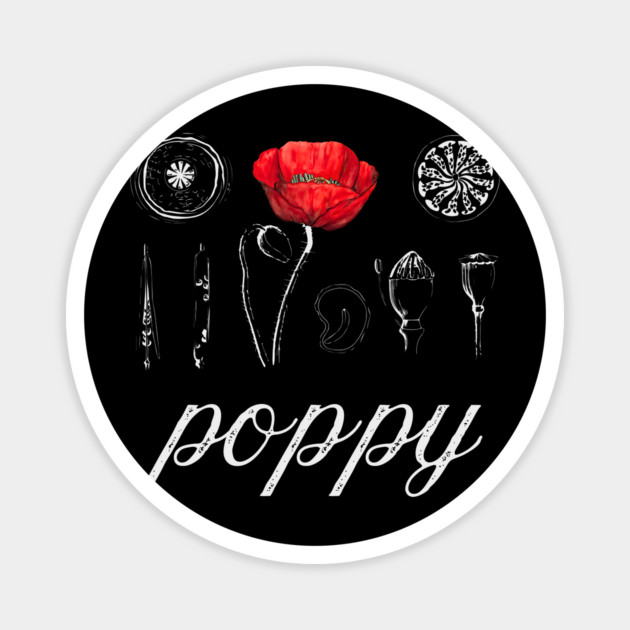 Poppy - Vintage Botanical Drawing - Chalk Art Blueprint Æshetic Magnet by TuncGK