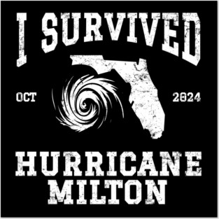 I Survived Hurricane Milton Posters and Art