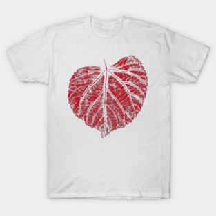 Linden Leaf - Nature Leaves IMPRINT T-Shirt