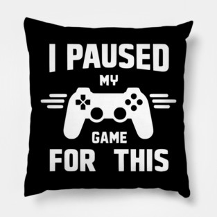 I Paused My Game for This Pillow