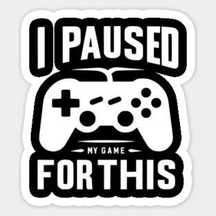 I Paused My Game for This Magnet