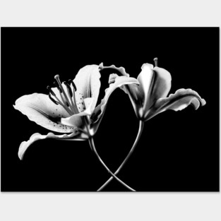 Twilight Posters and Art