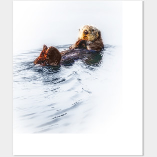 Sea Otter Posters and Art