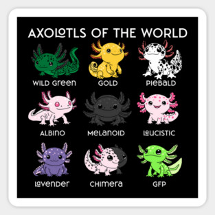 Kawaii Axolotls of the Worlds Sticker