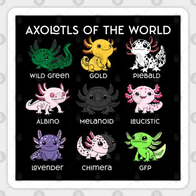 Kawaii Axolotls of the Worlds Sticker by H. R. Sinclair