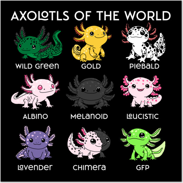 Kawaii Axolotls of the Worlds Wall Art by H. R. Sinclair