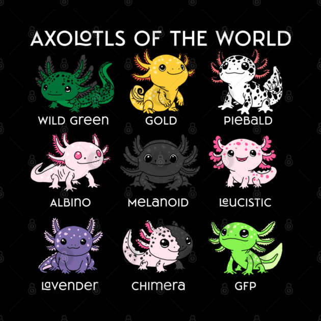 Kawaii Axolotls of the Worlds by H. R. Sinclair