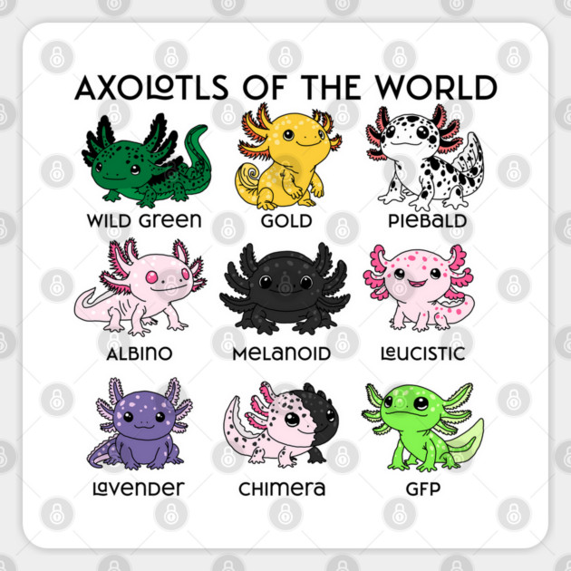 Kawaii Axolotls of the Worlds Sticker by H. R. Sinclair