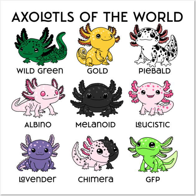 Kawaii Axolotls of the Worlds Wall Art by H. R. Sinclair
