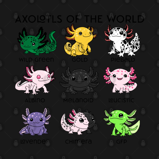 Kawaii Axolotls of the Worlds by H. R. Sinclair