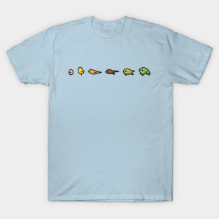 Evolution T-Shirt