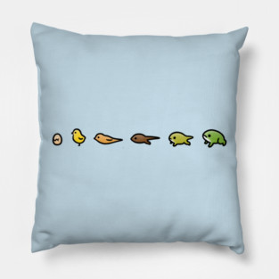 Evolution Pillow