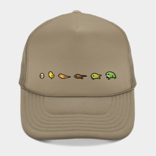 Evolution Hat