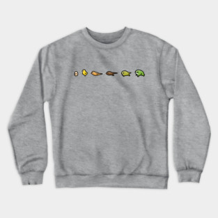 Evolution Crewneck Sweatshirt