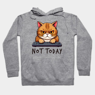 Not Today, Internet Cat Hoodie