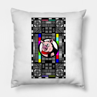 THE CHOLESTEROL MIND: TV TEST PORTRAIT Pillow