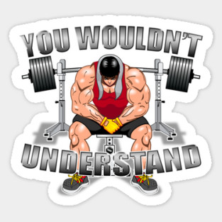 You wouldn't Understand Sticker