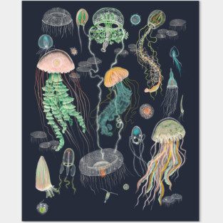 Jellyfish Posters and Art
