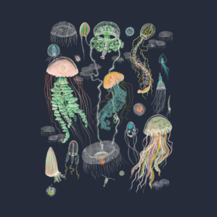 Jellyfish