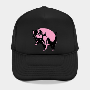 Pink-Floyd-Band Album Music Hat