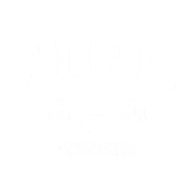 Codename: Twilight Sparkle by Dooley Swift