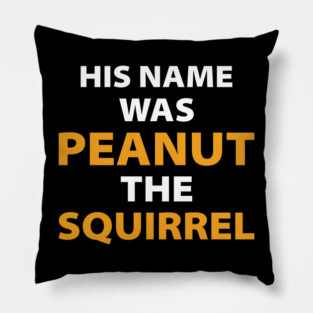 His name was Peanut the Squirrel justice for peanut Pillow