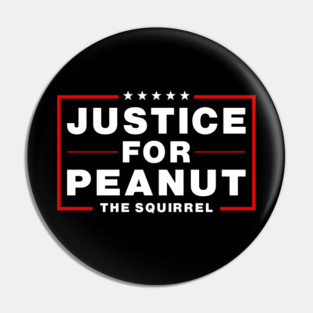 Justice For Peanut The Squirrel Pin