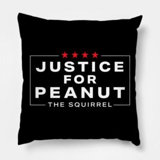 Justice-For-Peanut Pillow