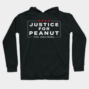 Justice-For-Peanut Hoodie