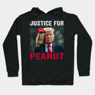 Justice-For-Peanut Hoodie