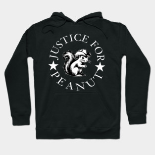 justice-for-peanut Hoodie