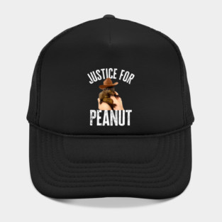 Justice For Peanut Hat