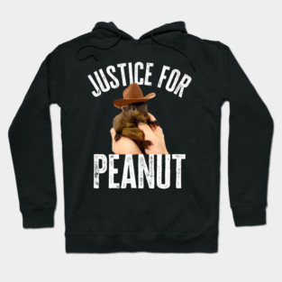 Justice For Peanut Hoodie
