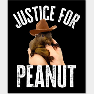 Justice For Peanut Posters and Art