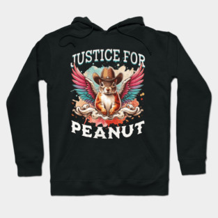 Justice For Peanut The Squirrel Peanut Squirrel Hoodie