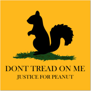 Justice For Peanut Posters and Art