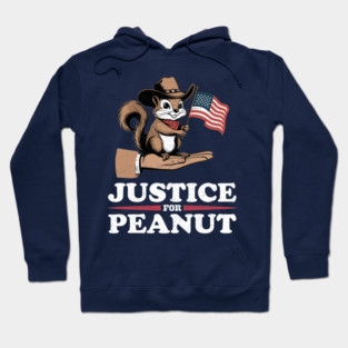 Justice for Peanut The Squirrel - Peanut Pnut Pnut Squirrel Lover Hoodie