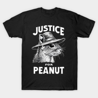Justice For Peanut The Squirrel - P’nut PNut Peanut Squirrel T-Shirt