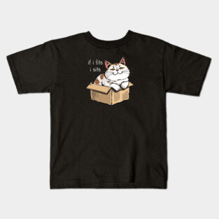 Fat Cat in a Box Kids T-Shirt