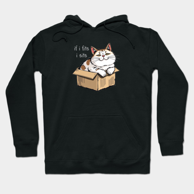 Fat Cat in a Box Hoodie by Pete the Cat Guy