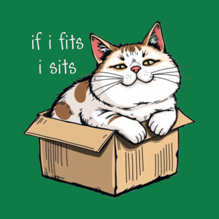 Fat Cat in a Box T-Shirt